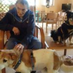 Pet Therapy in Hospice a Cremona