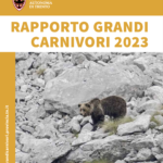 Circa 100 orsi e 27 branchi di lupi: la fotografia della Provincia di Trento nel Rapporto Grandi carnivori 2023