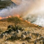 Incendi forestali: da gennaio a luglio 2024 in linea con la media dal 2006