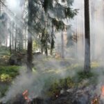 Incendi boschivi nel 2023: superfici percorse da incendi in calo al nord e centro, aumentano nelle regioni del sud e nelle isole