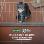 Ultima al fianco di ENPA per il progetto Affidi Temporanei