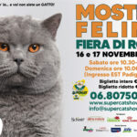 Torna a Roma il SuperCat Show