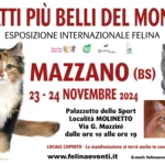 Eventi e manifestazioni